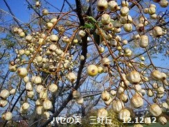 f:id:mikawakinta63:20121208100220j:image:left f:id:mikawakinta63:20121208100220j:image:left