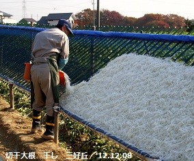 f:id:mikawakinta63:20121208101212j:image:right f:id:mikawakinta63:20121208101212j:image:right