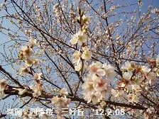 f:id:mikawakinta63:20121208102402j:image:left f:id:mikawakinta63:20121208102402j:image:left