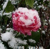 f:id:mikawakinta63:20121210081045j:image:right