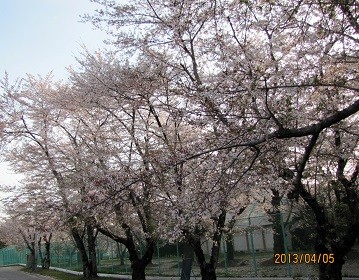 f:id:mikawakinta63:20130405170210j:image:right