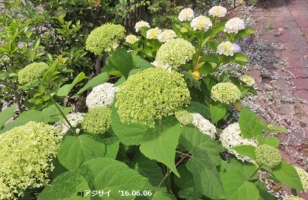 20160606140630