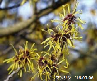 f:id:mikawakinta63:20190212130026p:plain f:id:mikawakinta63:20190212130026p:plain
