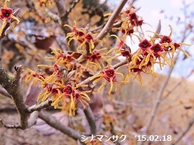 f:id:mikawakinta63:20190212133733j:plain f:id:mikawakinta63:20190212133733j:plain