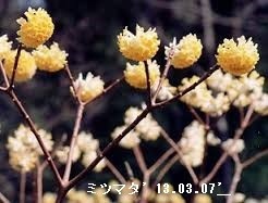 f:id:mikawakinta63:20190222140636j:plain f:id:mikawakinta63:20190222140636j:plain
