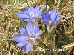 f:id:mikawakinta63:20190318155631j:plain f:id:mikawakinta63:20190318155631j:plain
