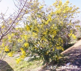 f:id:mikawakinta63:20190321151422j:plain f:id:mikawakinta63:20190321151422j:plain
