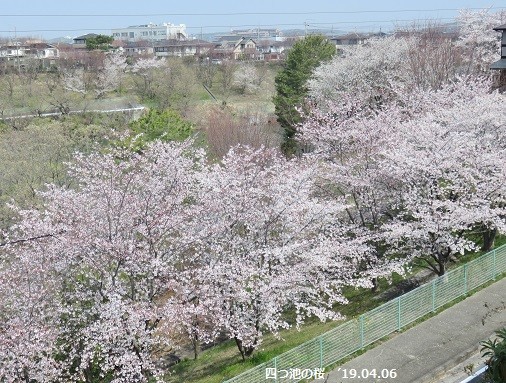 f:id:mikawakinta63:20190408144728j:plain