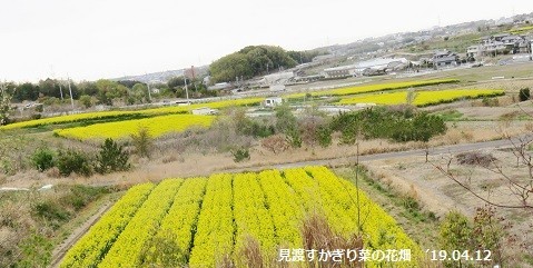 f:id:mikawakinta63:20190412153051j:plain