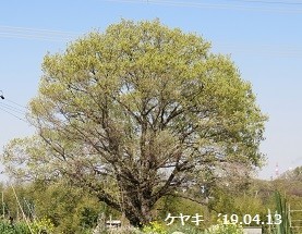 f:id:mikawakinta63:20190415143340j:plain f:id:mikawakinta63:20190415143340j:plain