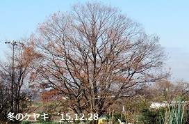 f:id:mikawakinta63:20190415143403j:plain f:id:mikawakinta63:20190415143403j:plain