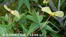 f:id:mikawakinta63:20190415174046j:plain f:id:mikawakinta63:20190415174046j:plain