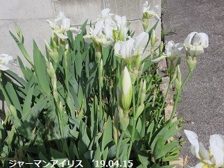 f:id:mikawakinta63:20190416141504j:plain f:id:mikawakinta63:20190416141504j:plain