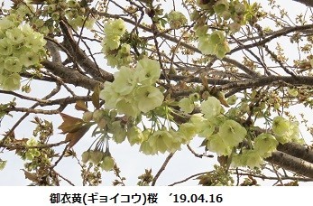 f:id:mikawakinta63:20190417132842j:plain f:id:mikawakinta63:20190417132842j:plain