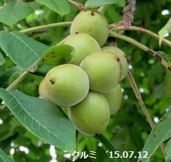 f:id:mikawakinta63:20190419134033j:plain f:id:mikawakinta63:20190419134033j:plain