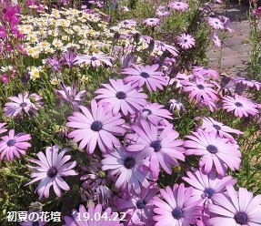 f:id:mikawakinta63:20190422161919j:plain f:id:mikawakinta63:20190422161919j:plain