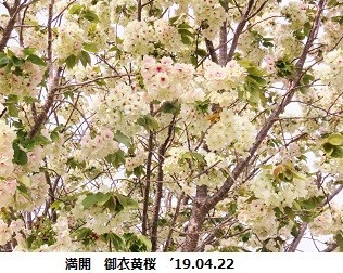 f:id:mikawakinta63:20190423142642j:plain f:id:mikawakinta63:20190423142642j:plain