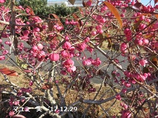 f:id:mikawakinta63:20190423145249j:plain f:id:mikawakinta63:20190423145249j:plain