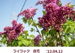 f:id:mikawakinta63:20190425134018j:plain f:id:mikawakinta63:20190425134018j:plain