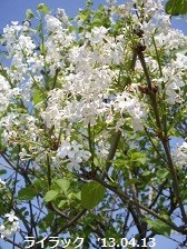 f:id:mikawakinta63:20190425134042j:plain f:id:mikawakinta63:20190425134042j:plain