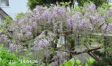f:id:mikawakinta63:20190427173925j:plain f:id:mikawakinta63:20190427173925j:plain