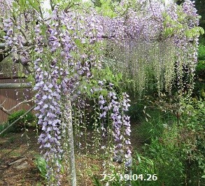 f:id:mikawakinta63:20190427173945j:plain f:id:mikawakinta63:20190427173945j:plain