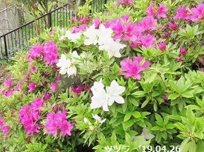 f:id:mikawakinta63:20190427212141j:plain f:id:mikawakinta63:20190427212141j:plain