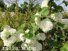 f:id:mikawakinta63:20190429172856j:plain f:id:mikawakinta63:20190429172856j:plain