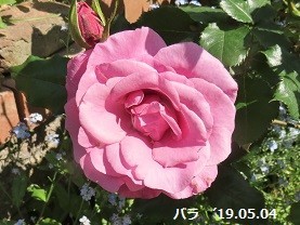 f:id:mikawakinta63:20190506164844j:plain f:id:mikawakinta63:20190506164844j:plain