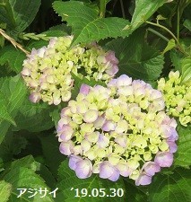 f:id:mikawakinta63:20190603135654j:plain f:id:mikawakinta63:20190603135654j:plain