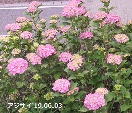f:id:mikawakinta63:20190603135841j:plain f:id:mikawakinta63:20190603135841j:plain