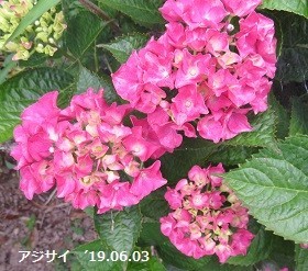 f:id:mikawakinta63:20190603135900j:plain f:id:mikawakinta63:20190603135900j:plain