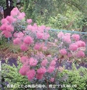 f:id:mikawakinta63:20190610093332j:plain f:id:mikawakinta63:20190610093332j:plain