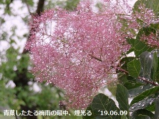 f:id:mikawakinta63:20190610093353j:plain f:id:mikawakinta63:20190610093353j:plain
