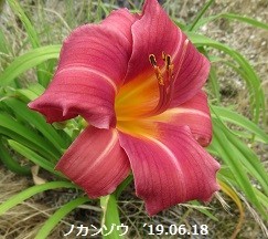 f:id:mikawakinta63:20190624135011j:plain f:id:mikawakinta63:20190624135011j:plain