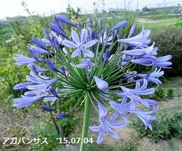 f:id:mikawakinta63:20190705154444j:plain f:id:mikawakinta63:20190705154444j:plain