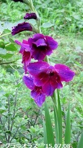 f:id:mikawakinta63:20190708132115j:plain f:id:mikawakinta63:20190708132115j:plain