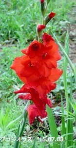 f:id:mikawakinta63:20190708132201j:plain f:id:mikawakinta63:20190708132201j:plain
