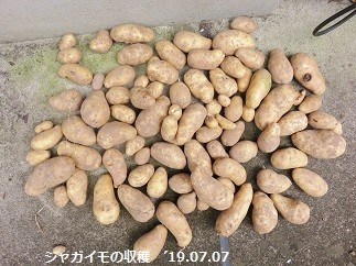 f:id:mikawakinta63:20190708140823j:plain f:id:mikawakinta63:20190708140823j:plain