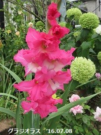f:id:mikawakinta63:20190708150343j:plain f:id:mikawakinta63:20190708150343j:plain