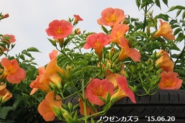 f:id:mikawakinta63:20190722101516j:plain f:id:mikawakinta63:20190722101516j:plain
