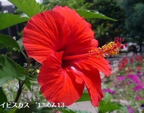 f:id:mikawakinta63:20190729141521j:plain f:id:mikawakinta63:20190729141521j:plain