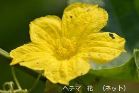 f:id:mikawakinta63:20190812134558p:plain f:id:mikawakinta63:20190812134558p:plain