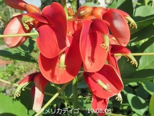 f:id:mikawakinta63:20190813154341j:plain f:id:mikawakinta63:20190813154341j:plain