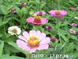 f:id:mikawakinta63:20190819103314j:plain f:id:mikawakinta63:20190819103314j:plain