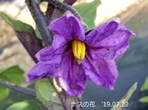 f:id:mikawakinta63:20190819103903j:plain f:id:mikawakinta63:20190819103903j:plain
