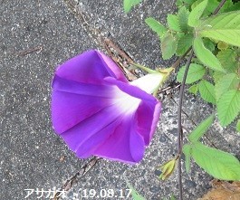 f:id:mikawakinta63:20190821145406j:plain f:id:mikawakinta63:20190821145406j:plain