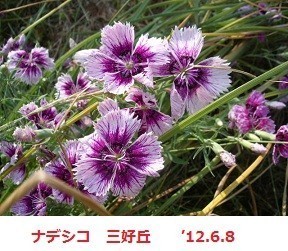 f:id:mikawakinta63:20190823152059j:plain f:id:mikawakinta63:20190823152059j:plain