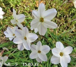 f:id:mikawakinta63:20190823152652j:plain f:id:mikawakinta63:20190823152652j:plain