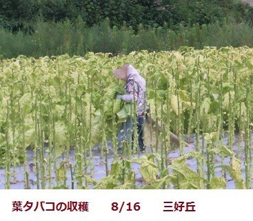 f:id:mikawakinta63:20190828102258j:plain f:id:mikawakinta63:20190828102258j:plain